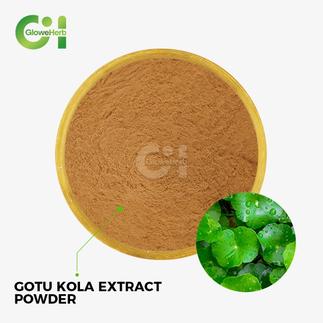 gotu kola extract powder gotu kola extract powder